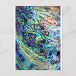 Postal Paula abalone shell