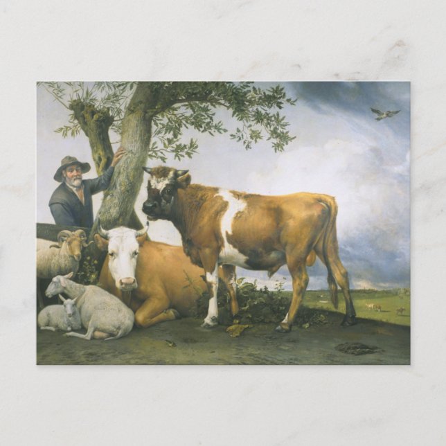 Postal Paulus Potter (Anverso)