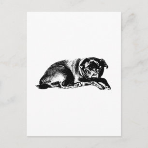 Postal Pausa Gráfica, Buenas Noticias
