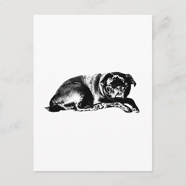 Postal Pausa Gráfica, Buenas Noticias (Anverso)