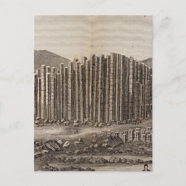 Postal Pave des Geans en Irlande (Anverso)