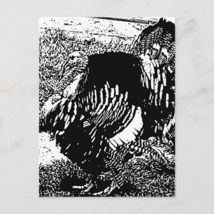 Postal pavo