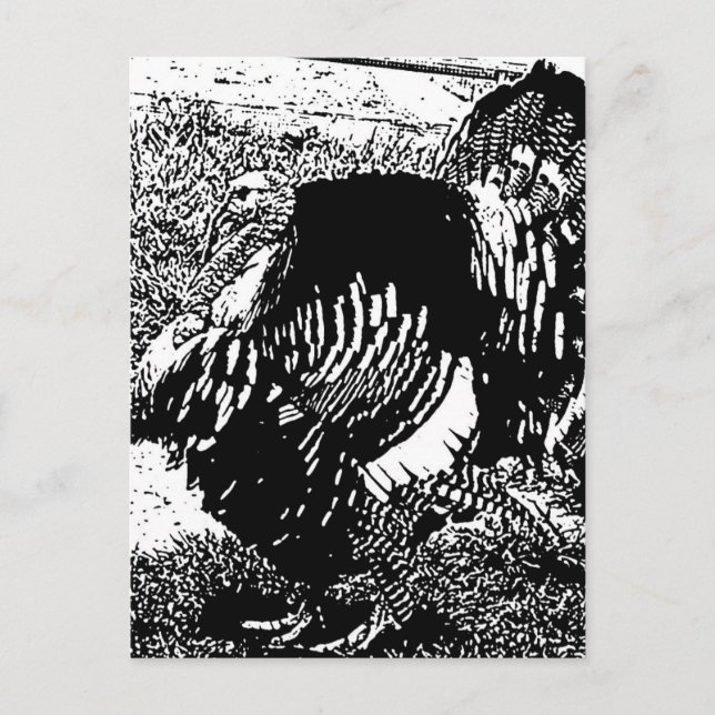 Postal pavo (Anverso)