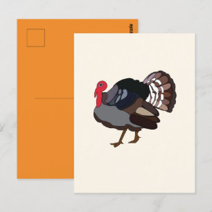 Postal Pavo Ave Turquía