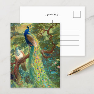 Postal Pavo azul   Charles Robert Knight