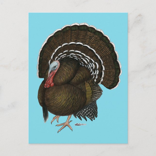 Postal Pavo Bronce Tom (Anverso)