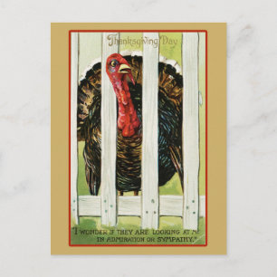 Postal Pavo de Acción de Gracias Vintage