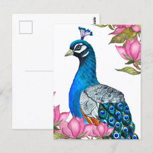 Postal Pavo de agua