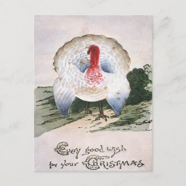 Postal Pavo de Navidad Antiguo (Anverso)