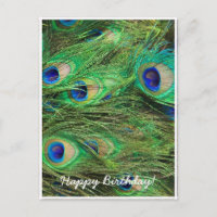 Pavo Hermoso