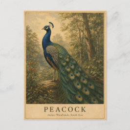 Postal Pavo Indian Woodlands VINTAGE