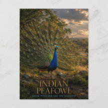 Pavo indio en el borde del bosque ANIMALES
