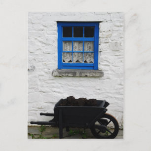 Postal Pavo irlandés
