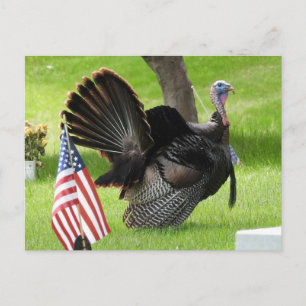 Postal Pavo Patriótico Pavoneándose