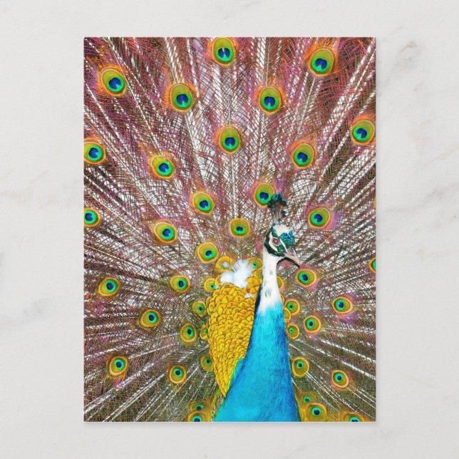 Postal pavo real (Anverso)
