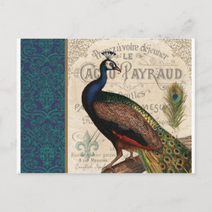 Postal pavo real francés vintage moderno