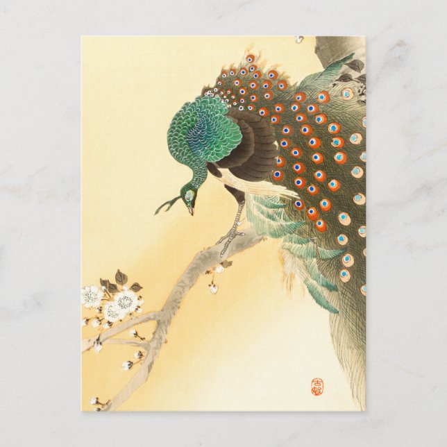 Postal Pavo real sobre el árbol de cerezo ++ Ohara Koson  (Anverso)