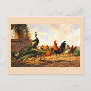Postal Pavo real y pollos