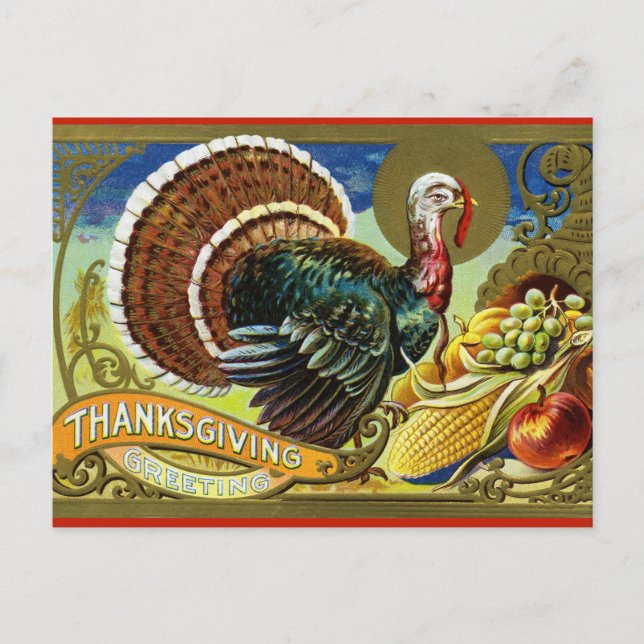 Postal Pavo vintage y cornucopia (Anverso)