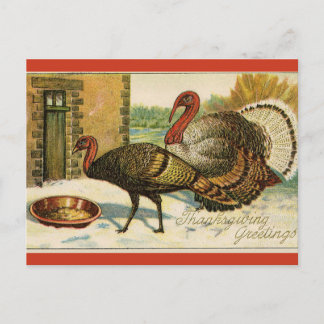 Postal Pavos de Acción de Gracias Vintage Comiendo