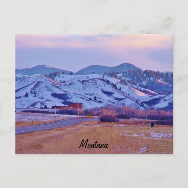 Postal Paw del oso (Anverso)