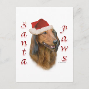 Postal Paws de Dachshund - Longhair