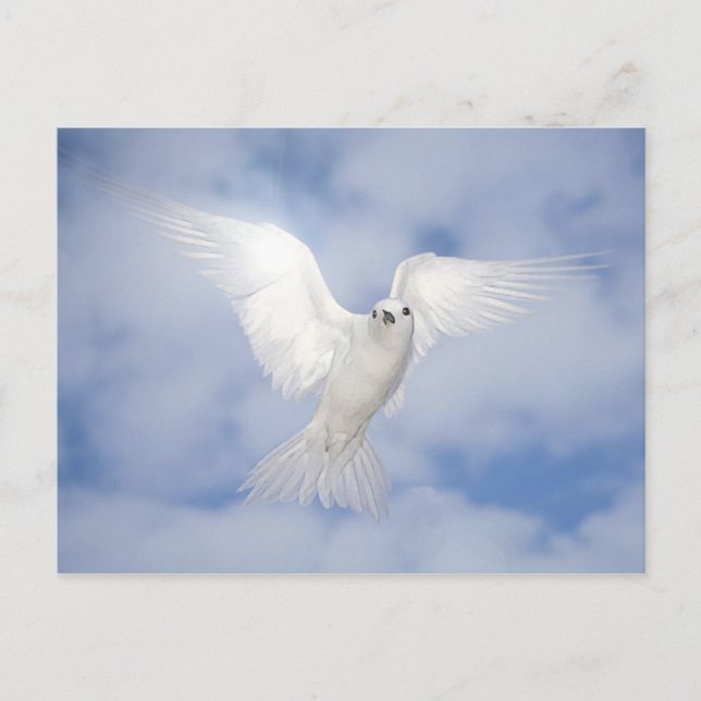 Postal Pax (Anverso)