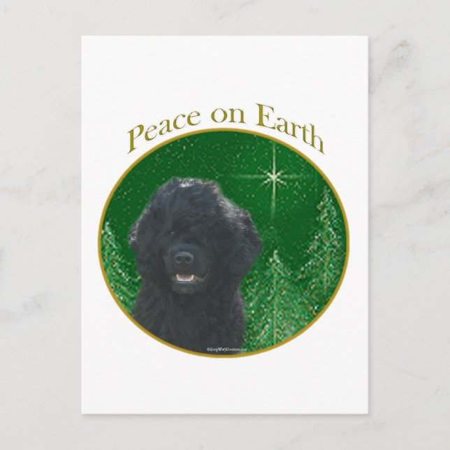 Postal Paz del perro de agua portugués (Anverso)