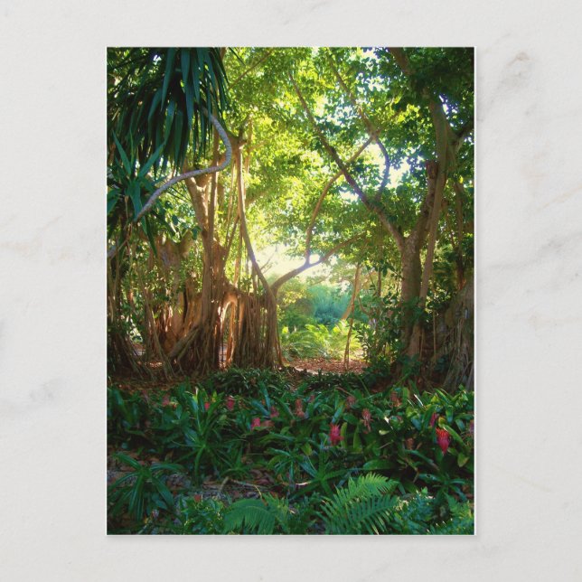 Postal paz en el jardín (Anverso)