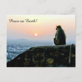 Postal Paz en la Tierra Meditación Mono India Sunset