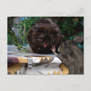 Postal ¡Paz! Que seamos amigos