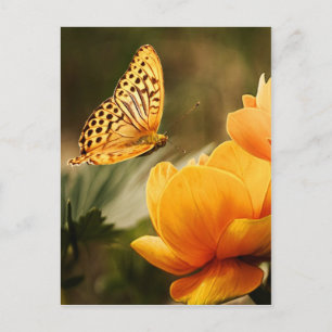 Postal paz y alegría de flores y mariposas
