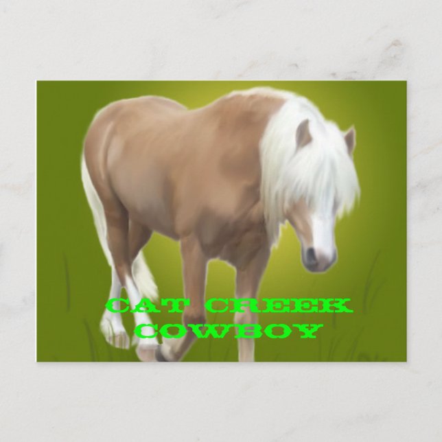 Postal PC de cowboy de Cat Creek (Anverso)