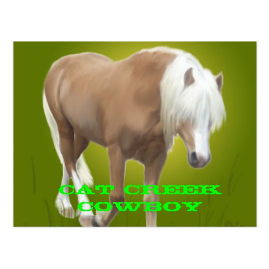 Postal PC del vaquero de la cala del gato
