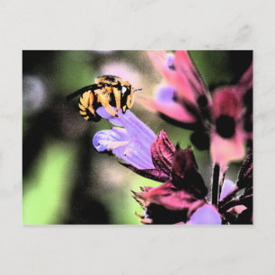 Postal Pcnm de abeja y flor