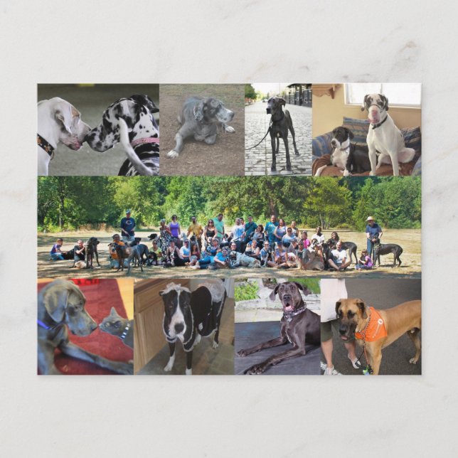 Postal PDXDanes (Anverso)