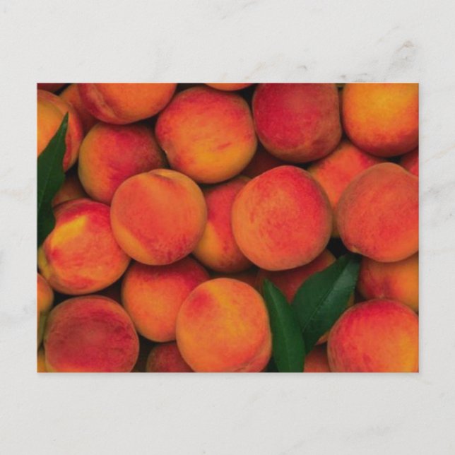 Postal Peaches (Anverso)