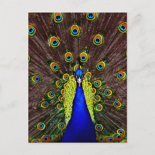 Postal Peacock (Anverso)