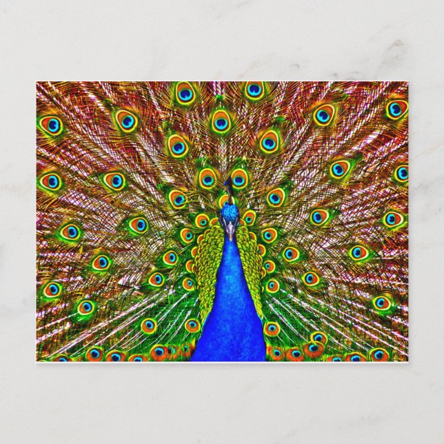 Postal Peacock (Anverso)