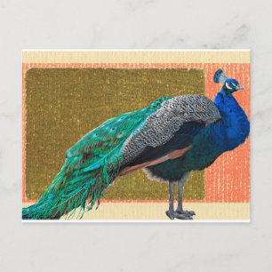 Postal Peacock
