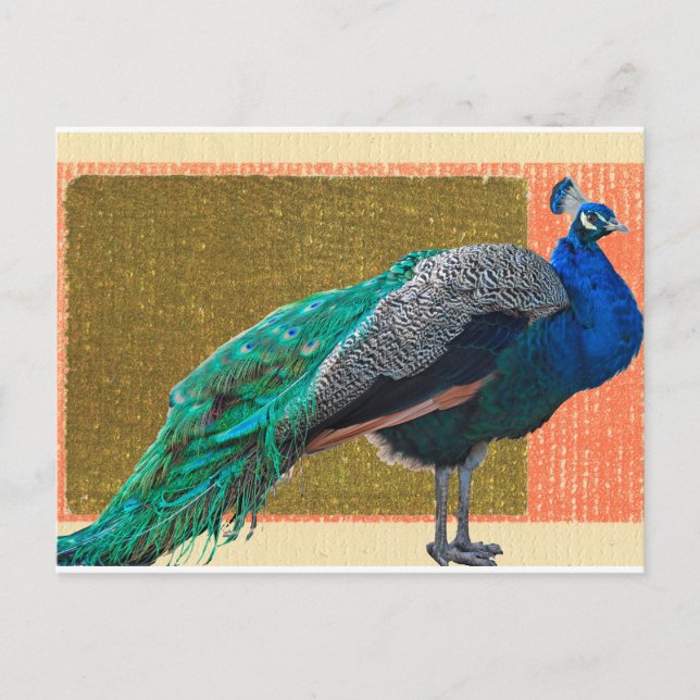 Postal Peacock (Anverso)