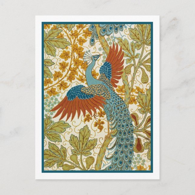 Postal -Peacock (Anverso)