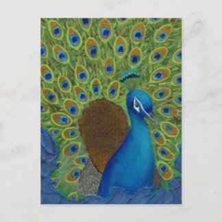 Postal Peacock, arranca tus plumas
