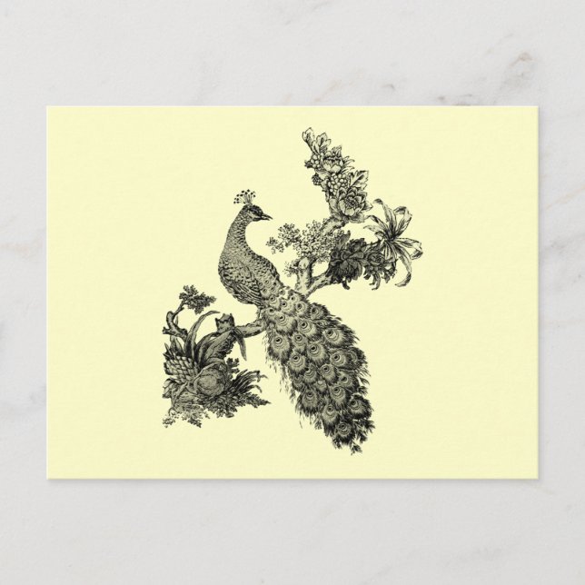 Postal Peacock de época en camisetas y regalos de sucursa (Anverso)