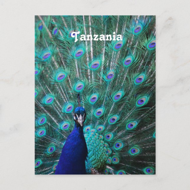 Postal Peacock de Tanzania (Anverso)