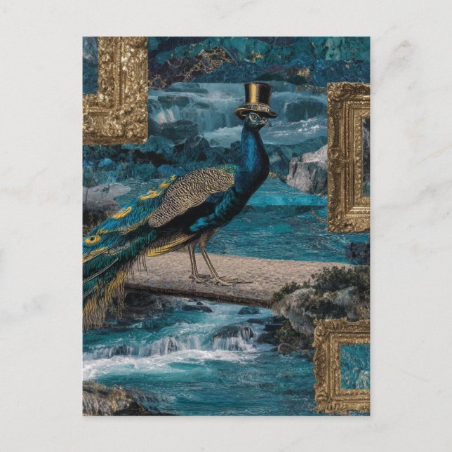 Postal Peacock en un sombrero superior (Anverso)