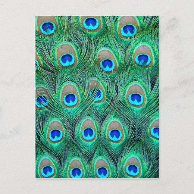 Postal Peacock Feathers (Anverso)