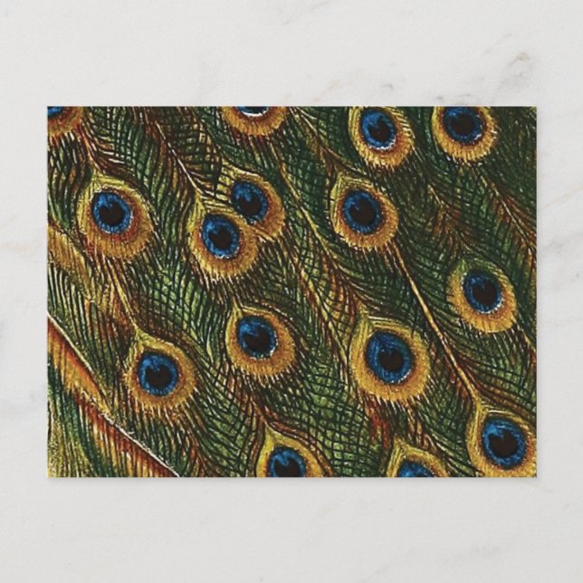 Postal Peacock Feathers (Anverso)