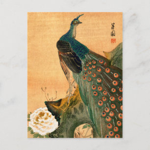 Postal Peacock japonés n.º 2
