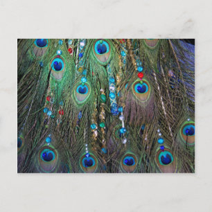 Postal Peacock Jewelery